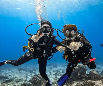 Cozumel: Discover Scuba Diving for Non-Certified Divers