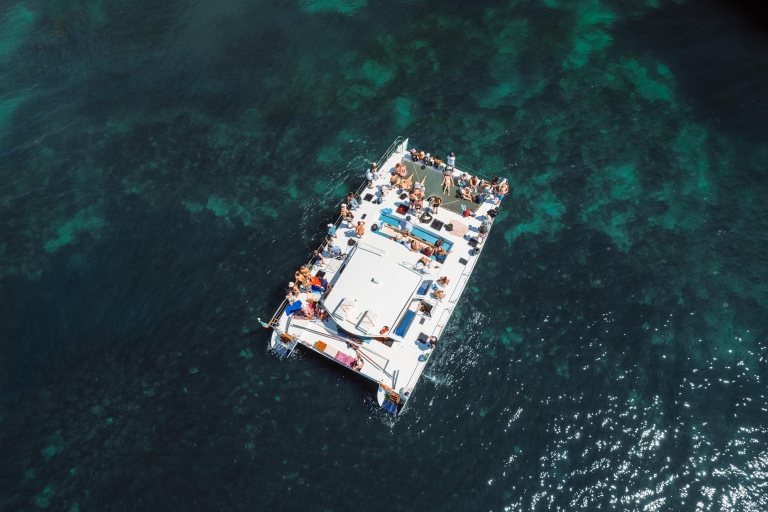 Benagil: Catamaranvaart grotten en kustlijnCatamaranvaart