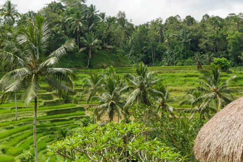 Unveiling Experience Ubud, Penglipuran Village and Waterfall Unveiling Experience Ubud for Small Group