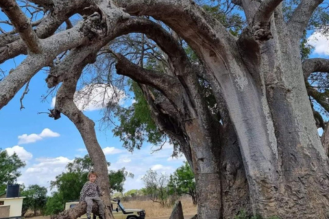 Day Trip Safari from zanzibar to mikumi using ferry and car