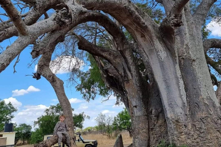 Day Trip Safari from zanzibar to mikumi using ferry and car