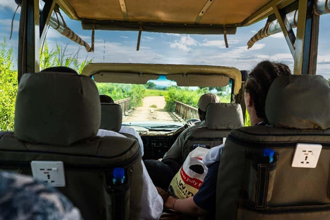 From Zanzibar: Mikumi Safari Day Trip with Flights and Lunch Mikumi Shared Safari without hotel transfer
