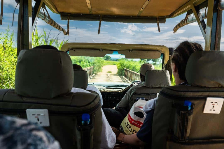 From Zanzibar: Mikumi Safari Day Trip with Flights and Lunch Mikumi Shared Safari without hotel transfer