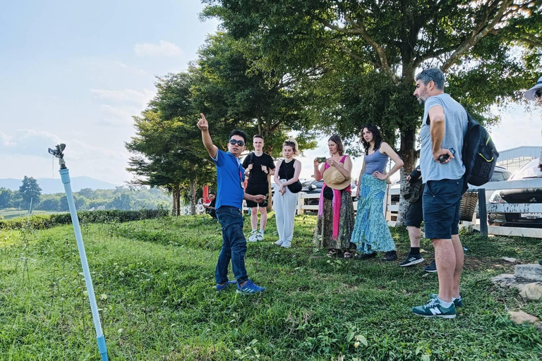 Chiang Rai: Popular Sightseeing Tour 7 places , Buffet Lunch Chiang Rai: Popular Sightseeing Tour 7 places ,Buffet Lunch