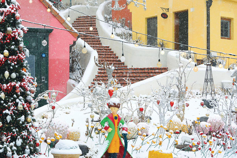 Eobi Ice Valley & Nami & Railbike & Petite & Morning Calm 1. Eobi Ice Valley & Nami Island & Petite France