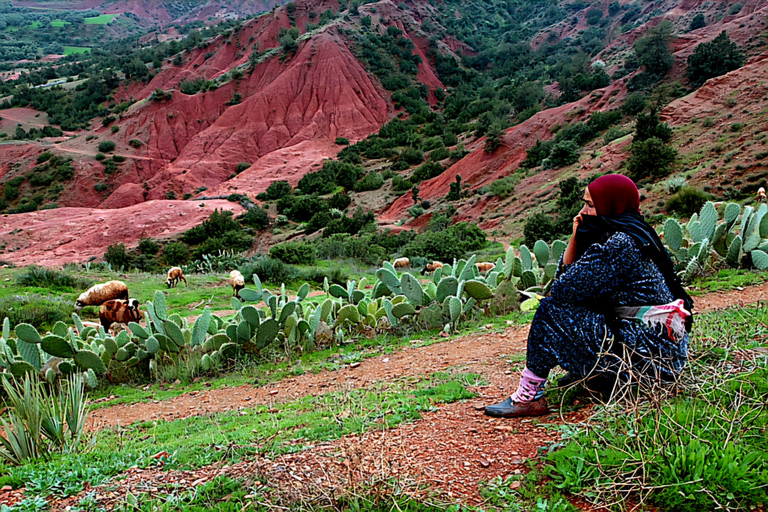 Marrakech: Zipline und Frühstück im Atlasgebirge