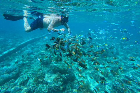 Gili Islands Snorkeling Day Trip with private speedboat