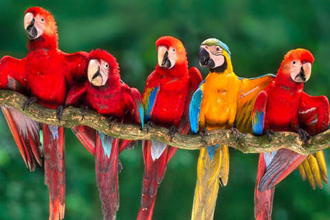 从库斯科出发：4天波尔图马尔多纳多之旅 - 桑多瓦尔湖&quot;从库斯科出发：4天波尔图马尔多纳多之旅——桑多瓦尔湖