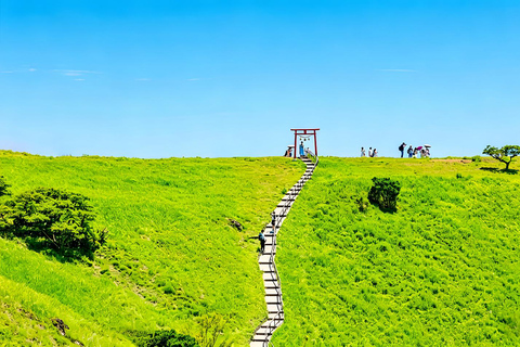 Small Group Day Tour:Omuro Mountain & the Izu Scenic Railway Hotel Transfer Option