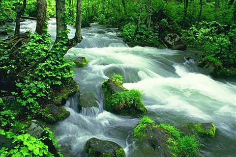 Zhangjiajie: 6-Day Private Tour with Phoenix Ancient Town