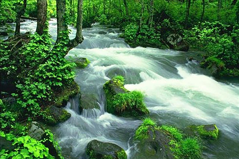 Zhangjiajie: 6-Day Private Tour with Phoenix Ancient Town