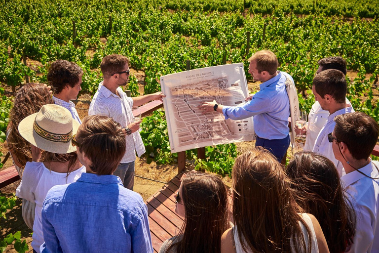 Santiago: Casablanca Wine Tour — 2 Award-Winning Wineries
