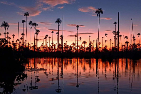 From Puerto Maldonado || 3-hour sunset boat ride ||