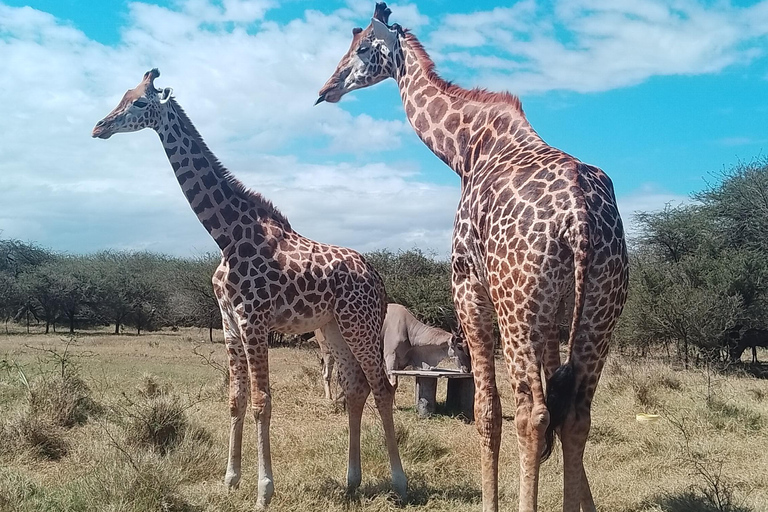 Mombasa: Wildlife Sanctuary Guided Nature Trail Tour Wildlife Sanctuary Guided Nature Trail Tour