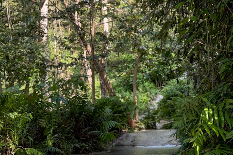 Chiang Mai: Sticky Waterfalls, Cave, and Lunch at Village Join-in With Lunch