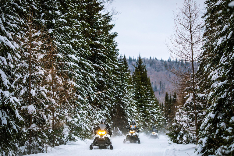 Mont-Tremblant Area: Guided Snowmobile Tour Solo Snowmobile Adventure 1.5 to 2 h (one-seater snowmobile)