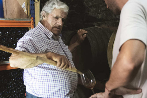 Malaga : visite exclusive d&#039;un vignoble héroïque et dégustation de vins naturels