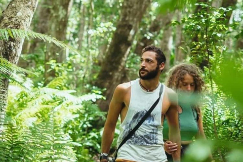 Zanzibar: Stone Town, Jozani Forest, Turtle Swim & The Rock Tour Without Hotel Transfer