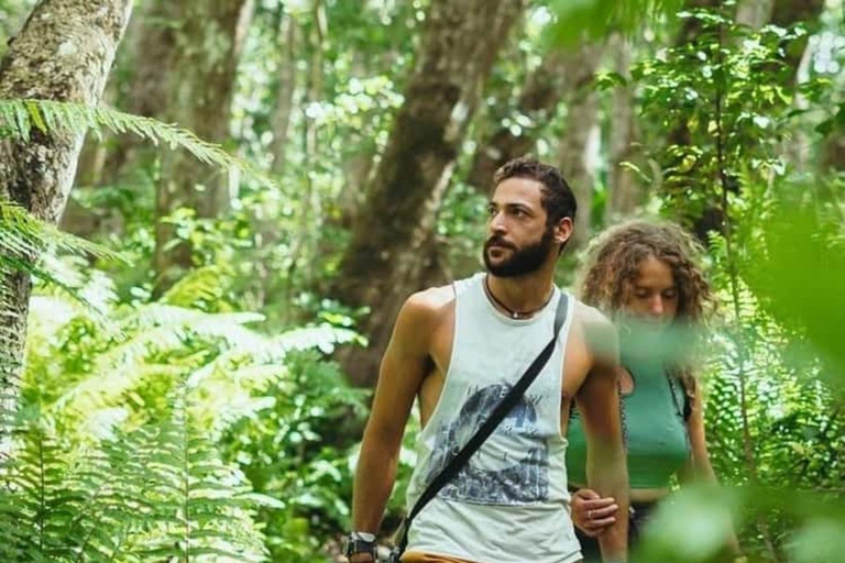 Zanzibar: Stone Town, Jozani Forest, Turtle Swim & The Rock Tour Without Hotel Transfer