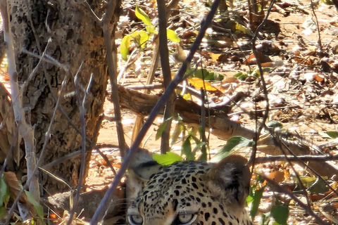 Chobe Tagestour im Chobe National Park