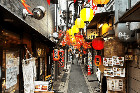 Tokyo: Tour guidato a piedi di Shinjuku con guida locale + video