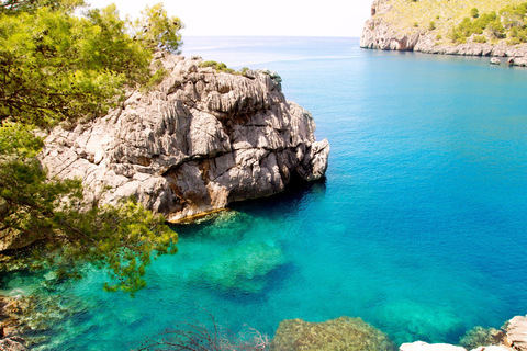 Mallorca: Caves, Cliffs, and Coves Boat Trip Tour with Santa Ponsa Pier Meeting Point 1:45pm