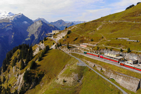 Desde Zúrich: Excursión de un día a Grindelwald y el Primer Paseo por los Acantilados