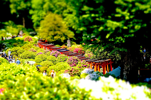 Tokio: Tour a pie por el casco antiguo de Yanaka