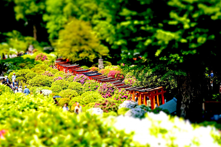 Tokyo: Old Quarter Yanaka Walking Tour