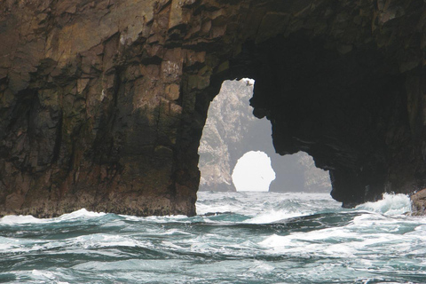 جولة إيكا-باراكاس: الجزر والمحميات والعودة