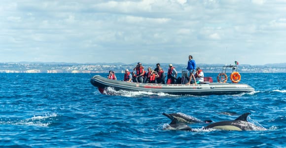 Albufeira: 2.5-Hour Private Dolphin & Benagil Caves Rib Boat