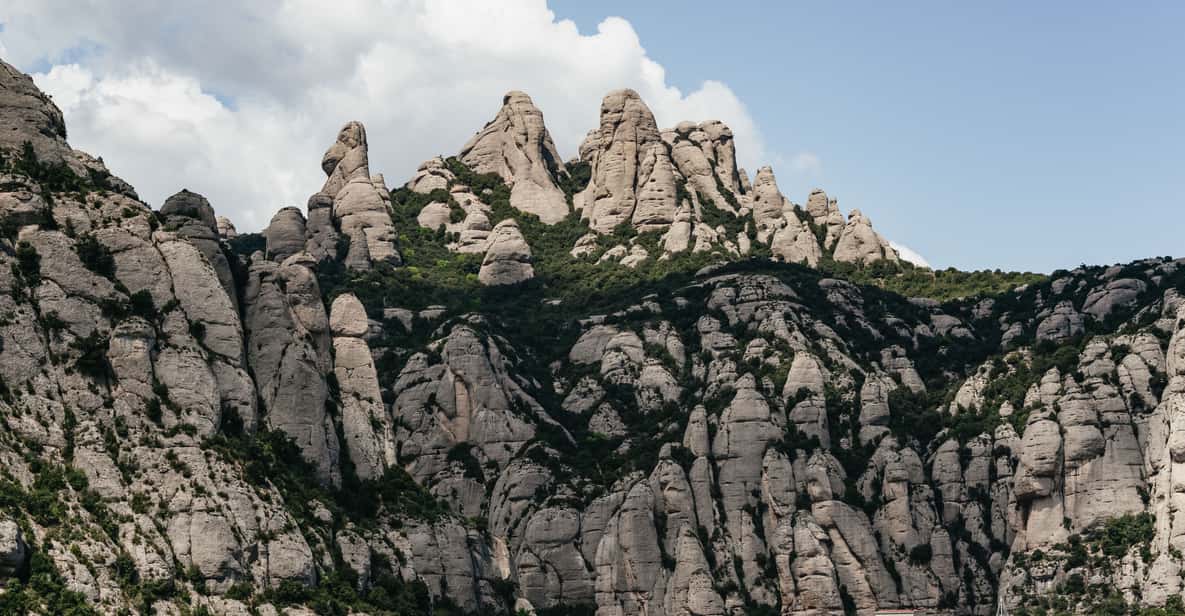 Afbeelding 35 van Barcelona: Montserrat, tandwielbaan, Zwarte Madonna en wijnmakerij