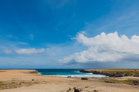 Wycieczka półdniowa na wyspę i plażę Baby Beach organizowana przez Cross Aruba Tours