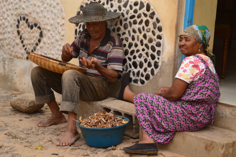 Boavista: Tradycyjna i lokalna wycieczka