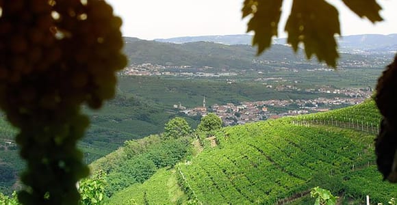 Exklusive Prosecco-Tour in kleiner Gruppe ab Venedig (2 Weingüter)