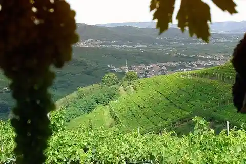 Prosecco Wine Tour. Full Day - 2 Wineries. From Venice