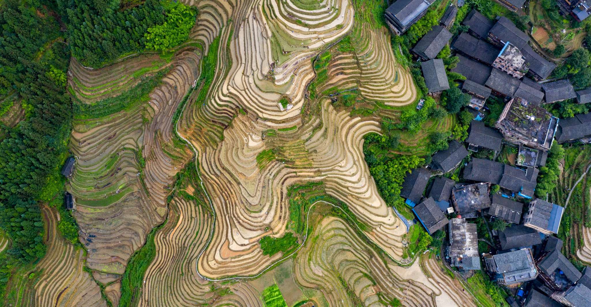 Guilin, Longji Rice Terraces&Culture Private Day Tour, Guilin, China