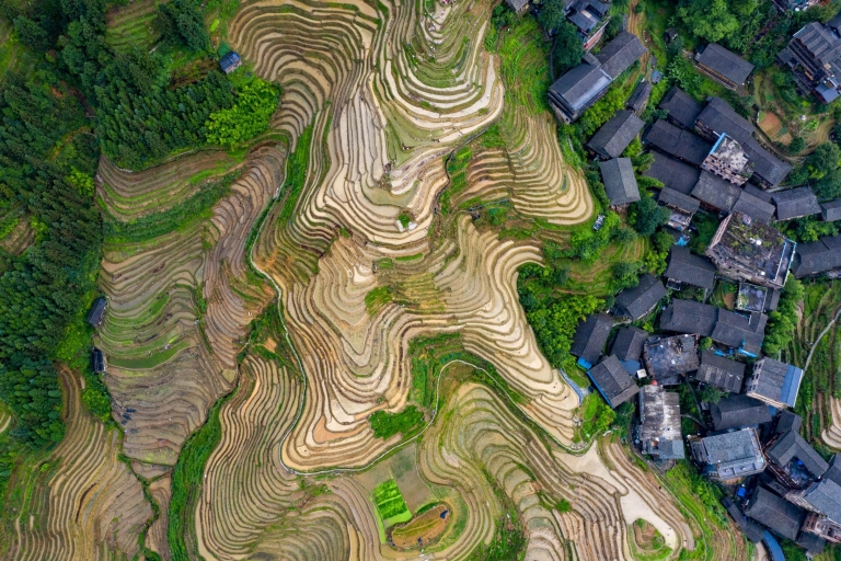Guilin: Terrazas de Arroz de Longji&Cultura Tour Privado de un DíaGuía en inglés