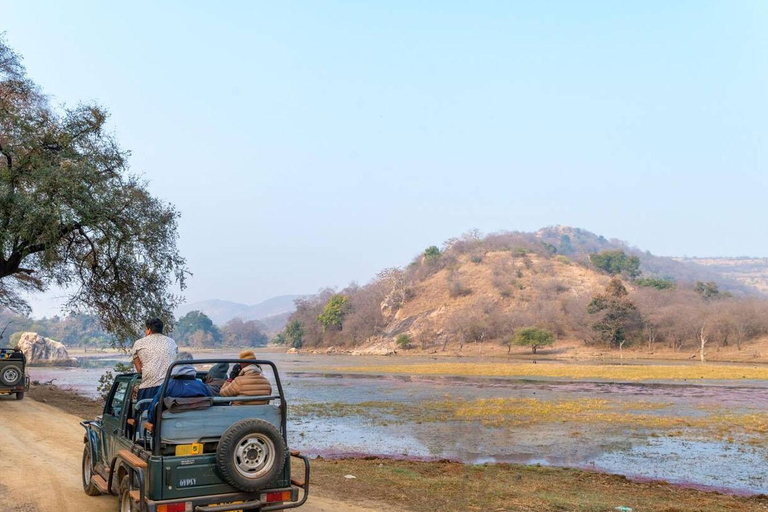 Från Jaipur: Privat rundtur med tigersafari i Ranthambore över natten