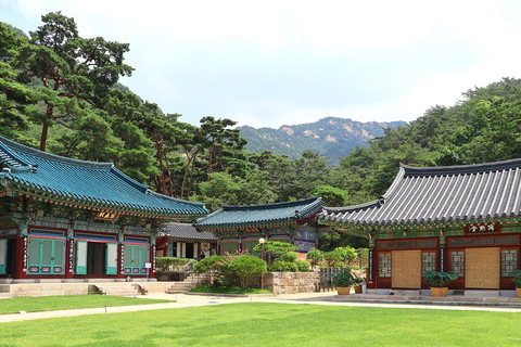 Seoul: Cherry Blossom & Pokpo Waterfall Cafe One Day Tour A. Cherry Blossom Spring Route