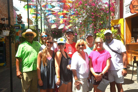 Puerto Plata: Zipline, Damajagua Falls, and City Tour