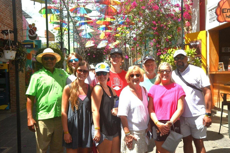 Puerto Plata: Zipline, Damajagua Falls, and City Tour