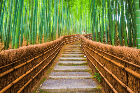 Japão: Visita guiada de 7 dias com alojamento em hotel