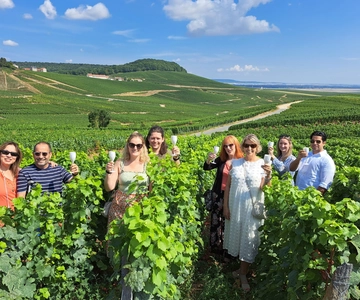 Chablis Day Trip From Paris including 8 tastings & lunch