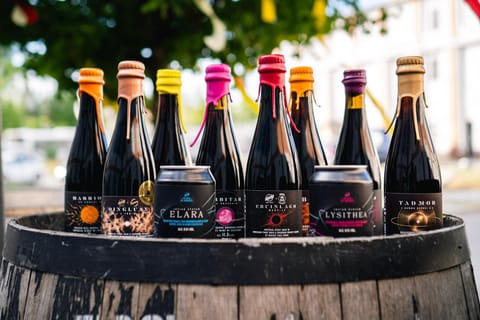 Budapest: Barrel-Aged Beer Tasting Session with Guide