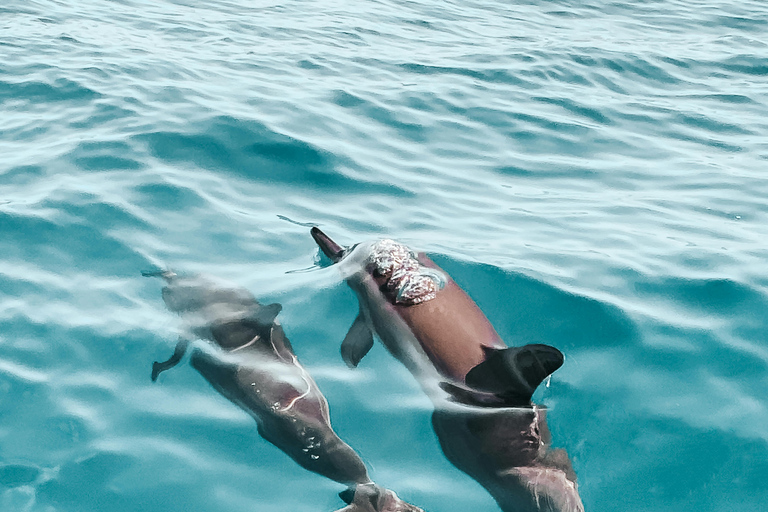 Side: Pirate Boat Trip to Dolphin Island with Foam Party.