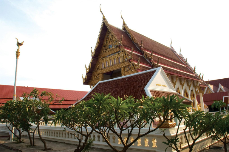 Wat Muang Angthong & Ayutthaya UNESCO Temples Private Tour