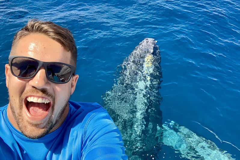 From Lahaina Turtle Town Snorkel Aboard the Quicksilver GetYourGuide