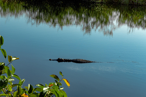 Miami: Everglades Airboat, Photo & Gator Experience From Miami: Everglades Airboat Tour with a Guide