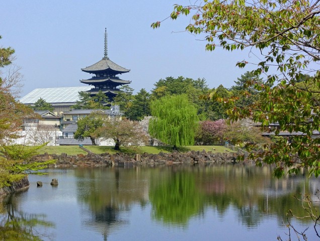 Visit Nara Park and Kofuku-ji Audio Guide The Enchanted Grounds in Nara, Japan